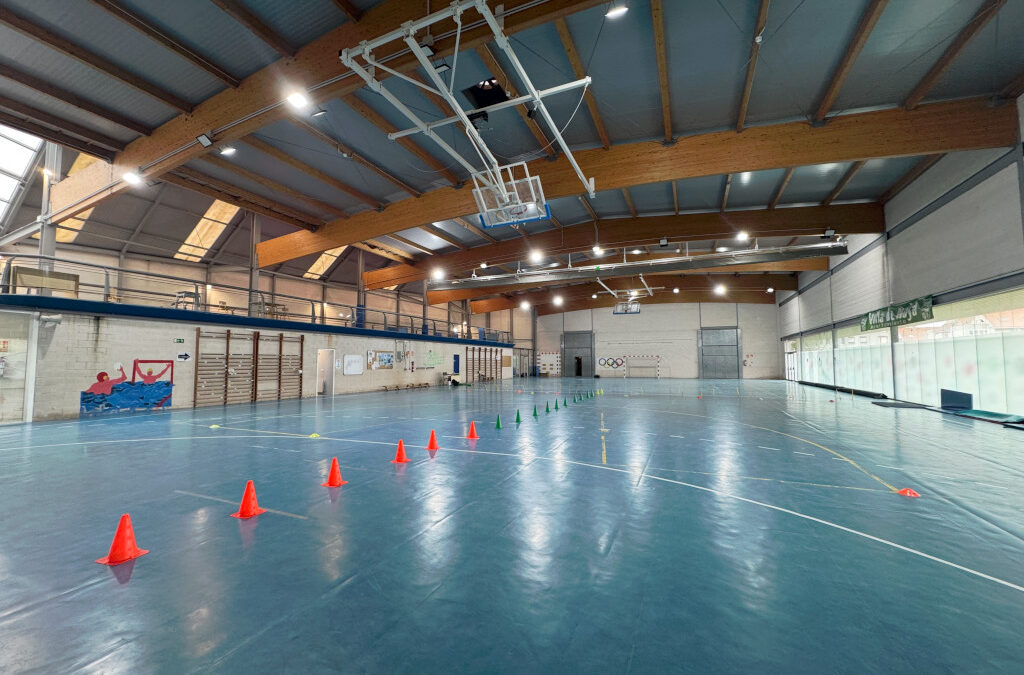 En marcha la licitación para sustituir el pavimento del polideportivo del CEIP Palacio